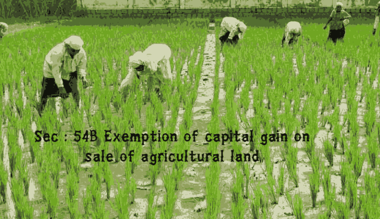 Capital gain on sale of agricultural land