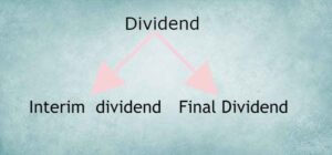 Dividend