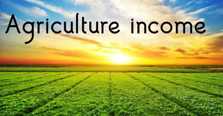 Agriculture income